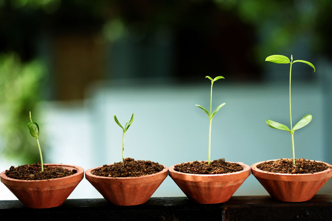 Rising to the Challenge - Growing Pains